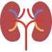 kidney-1